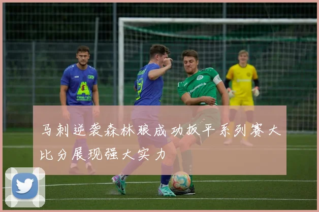 马刺逆袭森林狼成功扳平系列赛大比分展现强大实力